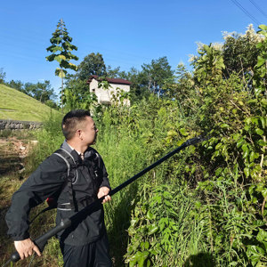 Nuovo Tipo di <span class=keywords><strong>Abbacchiatore</strong></span> per Olive Elettrico ad Alta Potenza <span class=keywords><strong>con</strong></span> <span class=keywords><strong>Batteria</strong></span> al Litio da 36V 13Ah ad Alta Capacità, Attrezzo da Giardino Leggero - Product Image 6