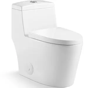 MJ-80流行美国洁具UPC一体式陶瓷白色马桶花式浴室落地式v形水厕座