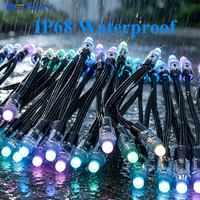 Beamy DC12V 24V Luces LED de Cadena de Puntos de Píxeles RGB a Todo Color con Control Inteligente para Iluminación de Fachadas de Edificios en Exteriores, Decoración Navideña