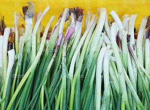 Machine à peler les oignons verts FX-C-108, éplucheur de peau d'oignon vert, machine à enlever la peau de poireau de printemps - Product Image 4