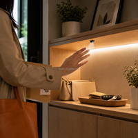 Interrupteur à capteur IR à détection de mouvement pour bande LED 12V/24V, contrôle central filaire, éclairage d'armoire en plastique FREE-18C-23