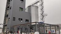 Nouvelle Usine de Fabrication de Granulés d'Aliments pour Volailles et Poissons de Haute Qualité, 3-5 Tonnes/Heure, en Acier au Carbone et Acier Inoxydable, Garantie de 2 Ans
