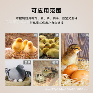 Controlador de Incubadora Inteligente HT-12, 5 Modos, Volteo Automático de Huevos, Montaje en Panel, Control de Temperatura y Calefacción Interior - Product Image 4