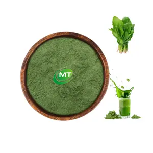 Free Sample Factory Supply Organic Green Vegetable Powder Spinach Extract Powder