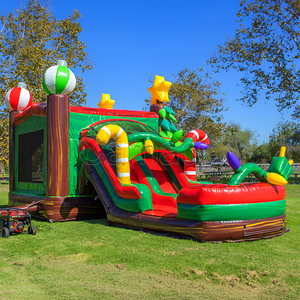 Castillo Inflable Comercial con Tobogán de Agua para Niños, Ideal para Fiestas de Cumpleaños y Parques de Diversiones - Product Image 6