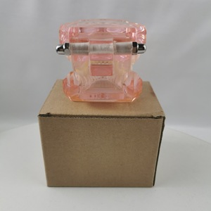 Modèle dentaire de démonstration M3001 avec support métallique, en silicone médical anatomique, emballage individuel, pour usage domestique - Product Image 3