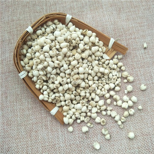 Hierba China Chuan Bei <span class=keywords><strong>Mu</strong></span>, Fritillaria Cirrhosa Seca, Bulbo de Fritillaria Cirrhosa de Alta Calidad - Product Image 2
