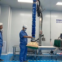 Lève-chargeurs à tubes sous vide pour palettisation, série VEL, machine de manutention de sacs pour la logistique d'entrepôt