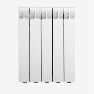 CALIDOR 80 B2 Interior Accesorios 600/80 10 Elementos Radiador - Product Image 2