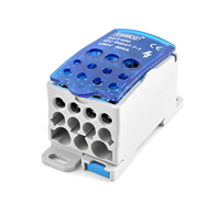 Barre omnibus sur rail DIN 80A 125A 160A 250A 400A, borniers de distribution d'alimentation à vis, accessoires de blocs de distribution haute intensité