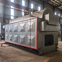 Chaudière à vapeur horizontale automatique DZH 6 tonnes pour charbon et biomasse, haute efficacité thermique, basse pression, en acier inoxydable, pour chauffage industriel