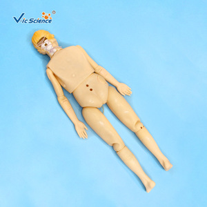 Modelo Humano de Enfermería: Simulador de Práctica de Enfermería Modular Multifuncional Educativo Vic - Product Image 3