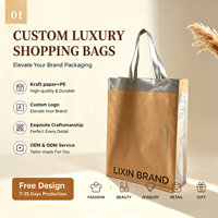 Sacs cabas de luxe élégants en papier kraft laminé PE avec bordure argentée, logo personnalisé imprimé pour la vente de bijoux et les cadeaux