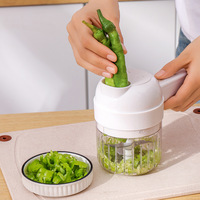 MINI hachoir électrique de cuisine trancheur d'ail avec changement de lame automatique coupe-ail électrique multifonction râpe