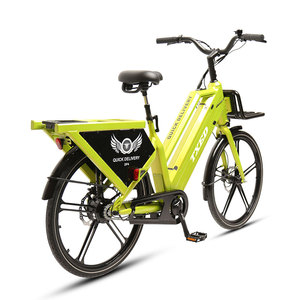 Bicicleta Eléctrica de Carga Familiar TXED de Fábrica OEM ODM de <span class=keywords><strong>26</strong></span>'' con Doble Batería de 350W 15AH, Motor Trasero, Largo Alcance y Cesta de Carga - Product Image 3