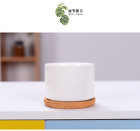 Pot de fleur en céramique blanche minimaliste nordique décor d'intérieur Logo personnalisé Pots de plantes succulentes en céramique