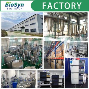 สารสกัดจากฮอปส์คุณภาพสูง <span class=keywords><strong>BioSyn</strong></span> Wholesale 1% แซนโทฮูมอลชนิดผง - Product Image 6