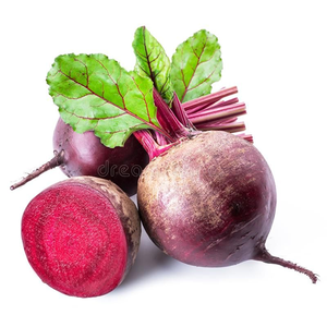 Cultivar de betterave rouge foncé de Détroit, cultivar agricole avec une apparence de racine exceptionnelle, une croissance forte et des avantages de productivité à long terme - Product Image 3