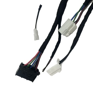 Cablaggio Automobilistico Personalizzato, Cablaggio di Controllo, Assemblaggi di Cavi su Misura - Product Image 5