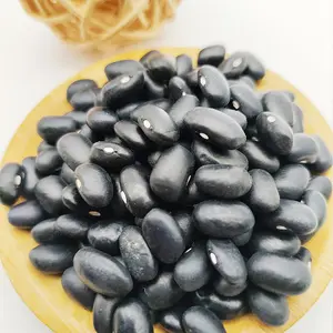 China Best-selling Black Kidney Beans Best Grade Chinese Organic Black Kidney Beans