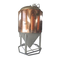 600L Beer Fermenting Equipment Beer Fermentation Tank