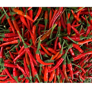 Chili frais Livraison rapide Autres légumes frais Épices du Vietnam Emballage personnalisé Produit agricole vietnamien Vente en gros - Product Image 5