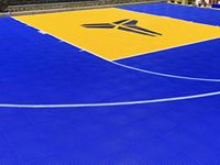 Terrain de sport multifonctionnel DIY Dream Court pour basketball et pickleball, jardin/terrain arrière, écologique, imperméable, ignifuge, résistant aux chocs