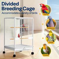 Cage à oiseaux carrée robuste avec structure en fer forgé, construction en plastique et bois, 4 roulettes, plateau de nettoyage coulissant, perchoirs.