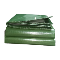 Bâche en PE imperméable, protection contre la pluie, polyéthylène, pour jardin, extérieur, camion, bateau, abri pour animaux de compagnie, maison pour chien, voiture