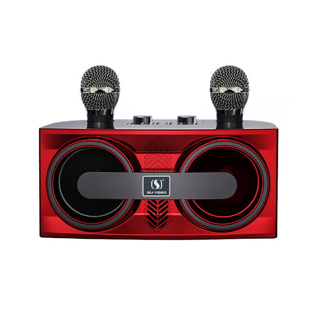 YS206 3000mAh Dual Mic Family Stereo Speaker Karaoke Set