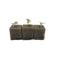 Médium de culture en mousse phénolique pour semis de petite taille en hydroponie verticale, densité 10-12 kg/m³, 90-98 % d'espace poreux pour cubes d'intérieur
