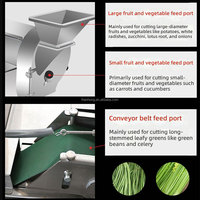 Déchiqueteuse Industrielle Commerciale pour Fruits, Pommes de Terre, Carottes, Coupe-Dés, Trancheuse, Hachoir, Machine à Couper les Légumes