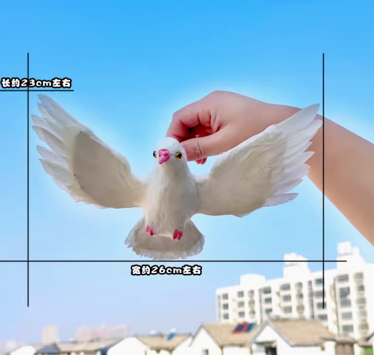 Medium flying pigeon - pink beak and feet