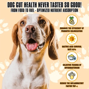 القط والكلب بروبيوتيك المناعي يمضغ القناة الهضمية الصحية تعزيز المكملات الغذائية للعناية المثلى بالعين - Product Image 2