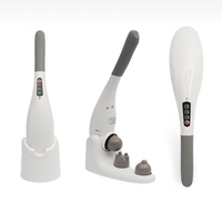LICHANG Delphin-Infrarot-Physiotherapie Vibration schnurloser wiederaufladbarer Massagehammer drahtloser Körperrücken-Hand-Massagegerät