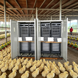 20000 ~ 25000 Incubateur d'oeufs de poule avec 4 ensembles de chariots à oeufs ou de chariots à couver HJ-I25 - Product Image 1