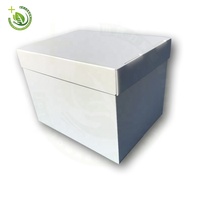 Boîte de rangement d'archives en carton ondulé extrudé PP de taille personnalisée A3 A4 avec service de découpe pour conteneur de bureau