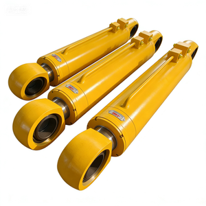 bibo Heavy Load Gear Motor Hydraulic Cylinder for Hydraulic Grab Material Handling Applications - Product Image 2