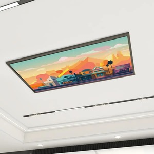 แผงไฟเพดานเรืองแสงแม่เหล็ก8ชิ้นแบบสั่งทำตามความต้องการสั่งสั่ง MOQ ต่ำ1ชิ้นจากจีน - Product Image 4