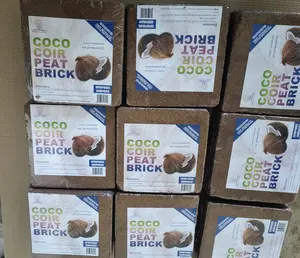 Bloques de Coco copeat, bloques de turba seca, Chips
