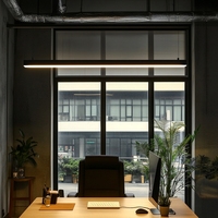 Tube lumineux LED 60cm - 150cm Télécommande 20 30 40 50 Watt Tube lumineux LED Suspension Ligne Lampe