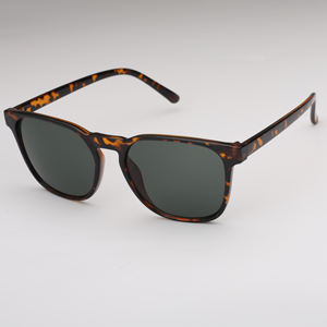 2025 Trending Classical OEM Hombres Gafas de sol UV400 Protección Lente Pantone Color disponible - Product Image 1