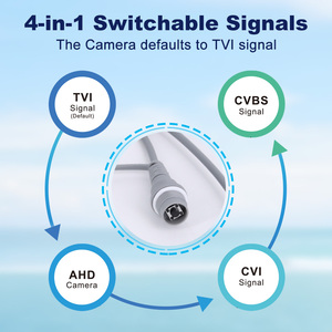 Caméra de surveillance analogique tourelle 4-en-1 CVI/TVI/CVBS/AHD 5MP avec double éclairage intelligent, support OEM, micro intégré, IP66, IR, métal - Product Image 5