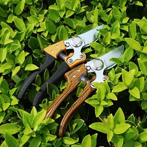 Probon Offre Spéciale Outils de Jardinage Professionnels Sécateurs de Jardin et de Jardinage Domestique Coupe-herbe Précis et Robustes - Product Image 5