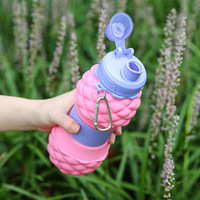 Botella de Agua Plegable de Silicona Platino con Diseño de Piña, Retráctil, para Niños, Deportes al Aire Libre