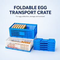 Conteneur en plastique HDPE vierge pliable de 630x330x257 mm pour l'élevage de volailles