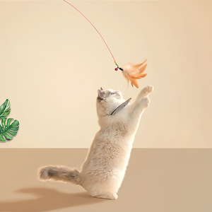Feather <span class=keywords><strong>Cat</strong></span> Teaser Toy Stahldraht mit Bell - Elastic Rod Zähne Reinigung Interaktiver Haustier Zauberstab für Katzen - Product Image 5