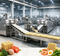 Équipement alimentaire industriel avec cuisson vapeur efficace et convoyage des produits, ligne de production de nouilles instantanées