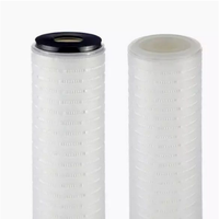 Filter Membran PES 0,04 Mikron Langsung dari Pabrik, Ukuran 10 Inci untuk Filtrasi Air Dialisis