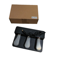 China Factory Custom Musical Instrument Accessories OEM 5 PIN Metal/Plastic Extenders 1.5m Cable Sustain Foot Pedal BD-triple